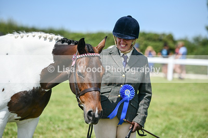 DSC_7874 - Class 65: Coloured Horse 4yrs & Over