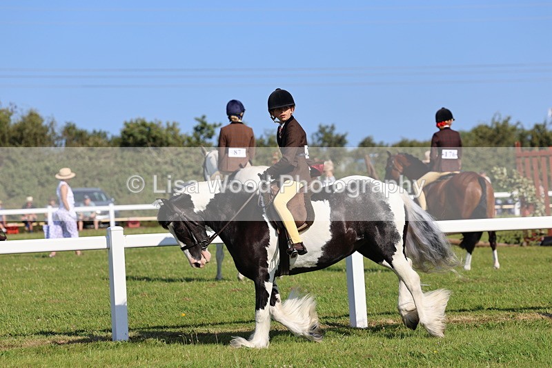 IMG_1529 - Class 30: Ridden Native/Trad Coloured Pony