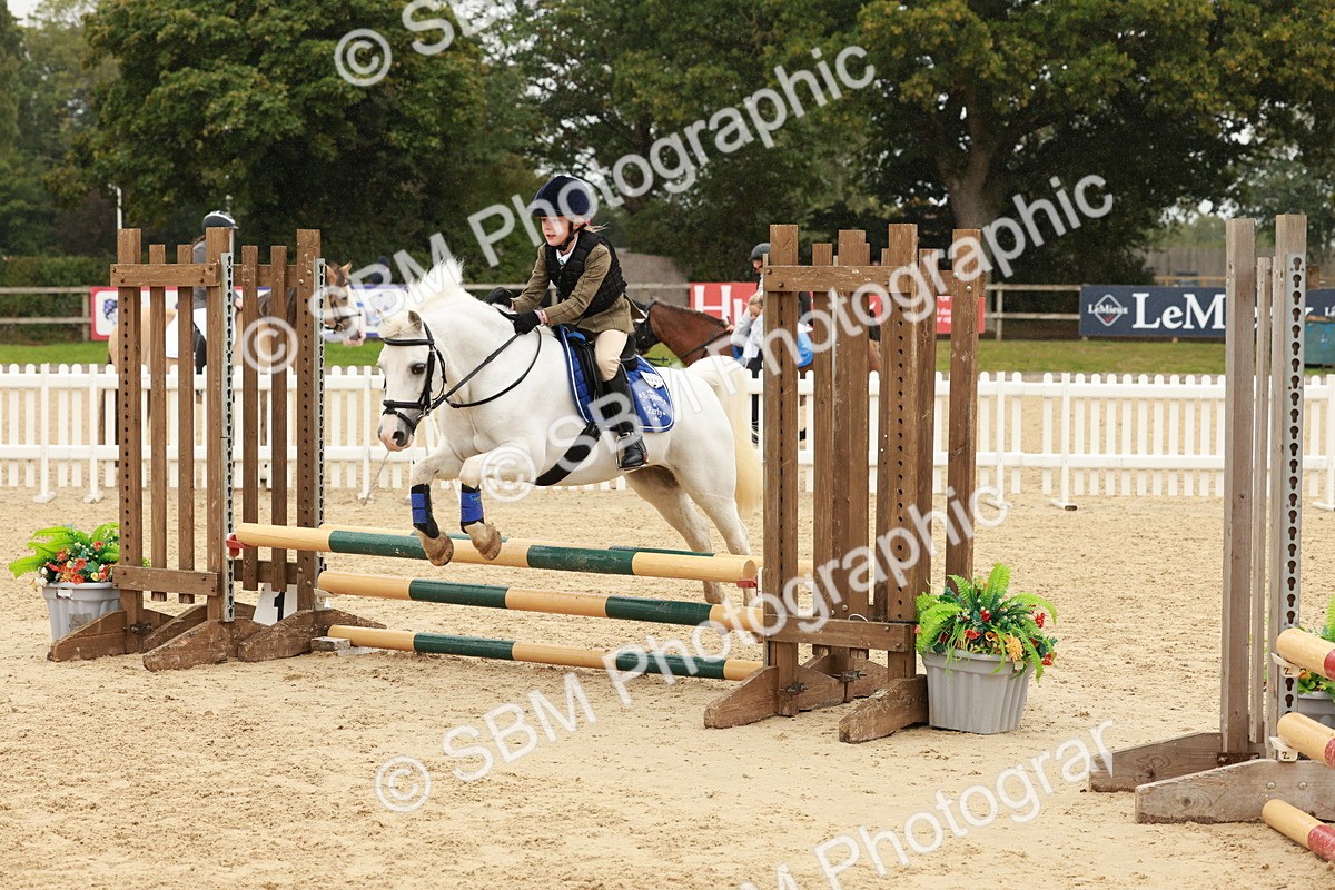 SBM_69243 - J13 - Junior Pony 60cm Championship