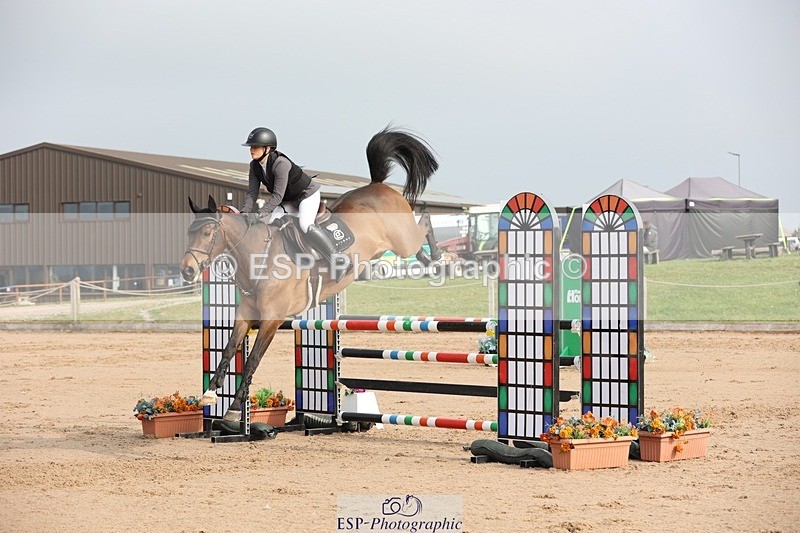 250424-093436-02881 - Cls 29 Young Horse 6yr old