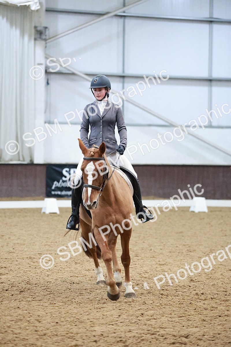 SBM_004645 - Ring 3 - International -  Working Hunter Classes 23-2-25