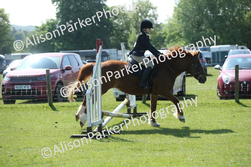 20250427-1906 - Class 2 - Mini Jumping 30cm