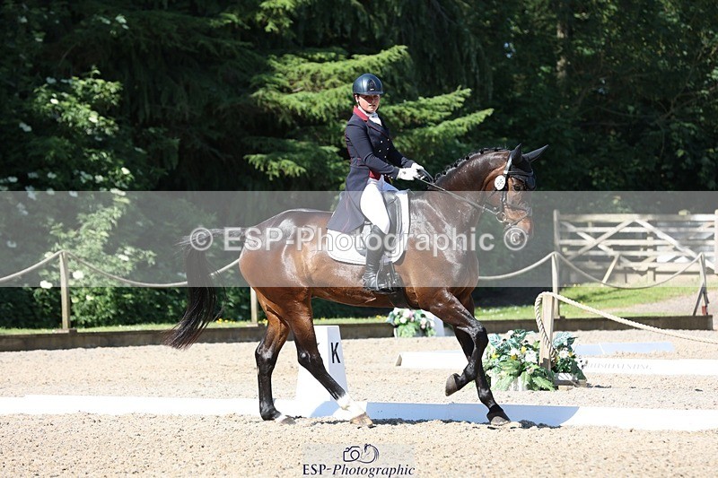 230526-094402-05147 - 357-VIVENDI_HERO-Saffron_Cresswell-WEDTrotUp+DR