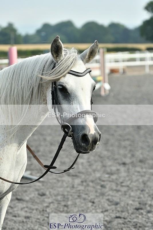 230817-094511-00247 - Theo's 1st Group - Arena