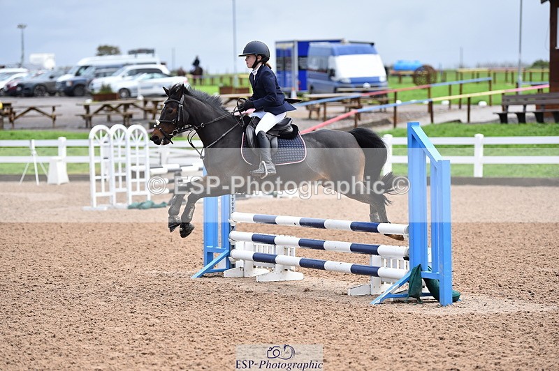 231029A-102756-02293 - 70cm Pony Intro