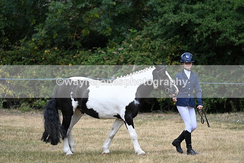 WJ7_1680 - Class 4 Prettiest Mare up to 14.2hh in hand