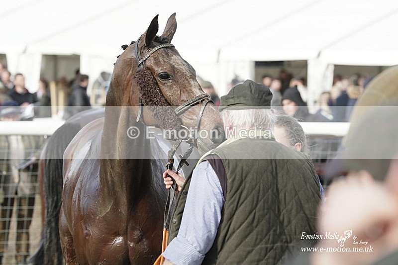 PtP 180323 1317 - Shelfield Park Races with Croome & West Warwickshire Hunt  18/03/23