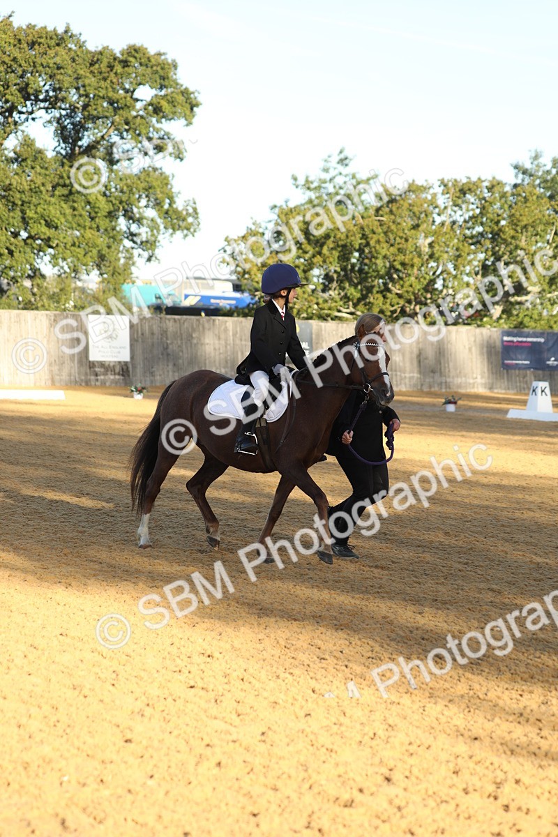 SBM_33646 - D26 - Starers - Lead Rein