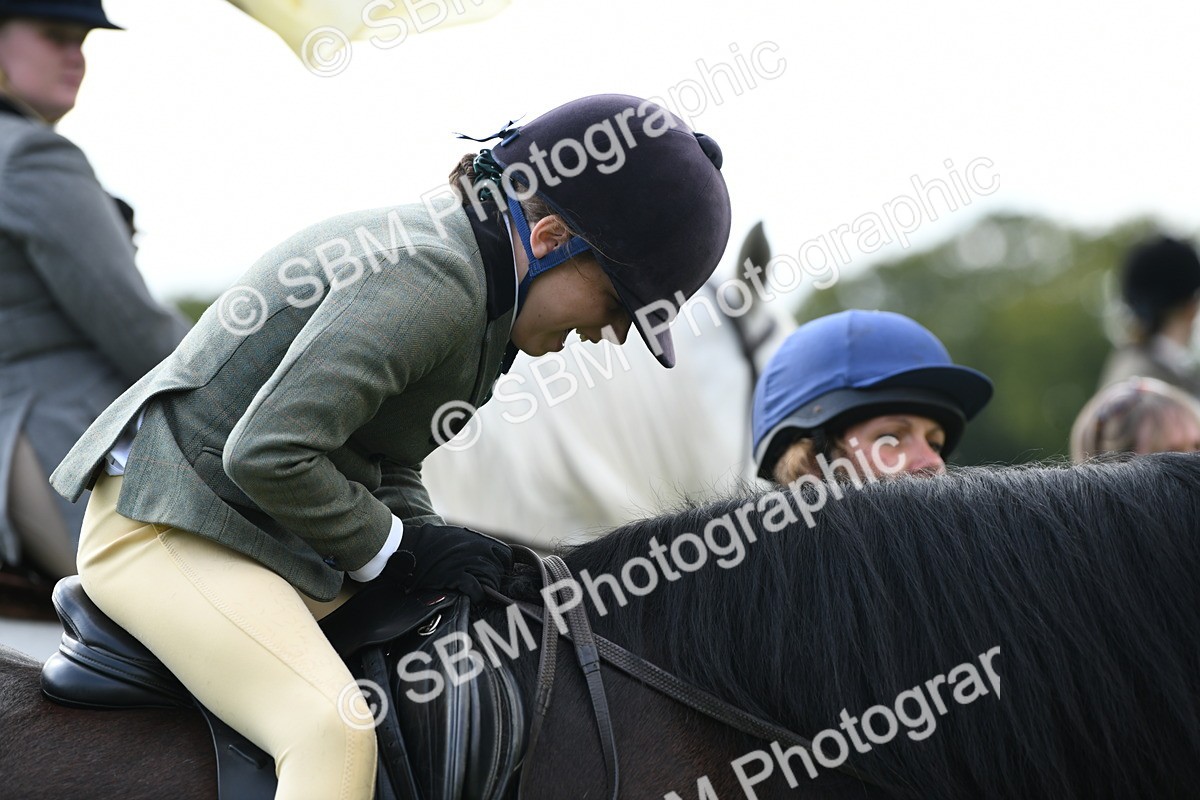SBM_47174 - S12 - Family Horse & Pony