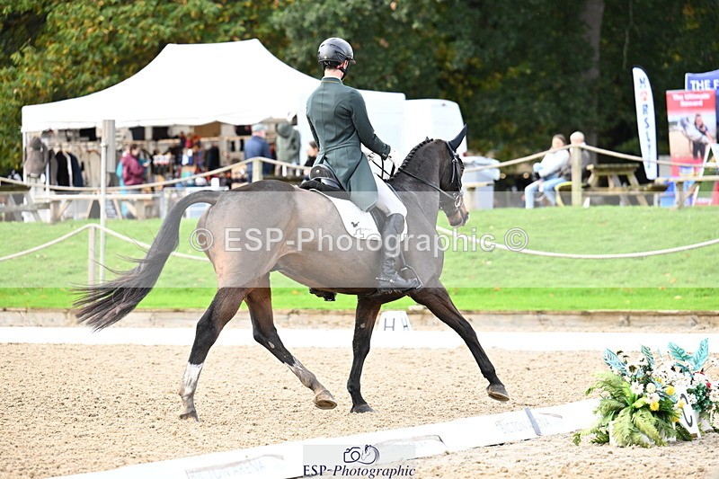 251023A-110347-01626 - B-134-Rafael.Losano