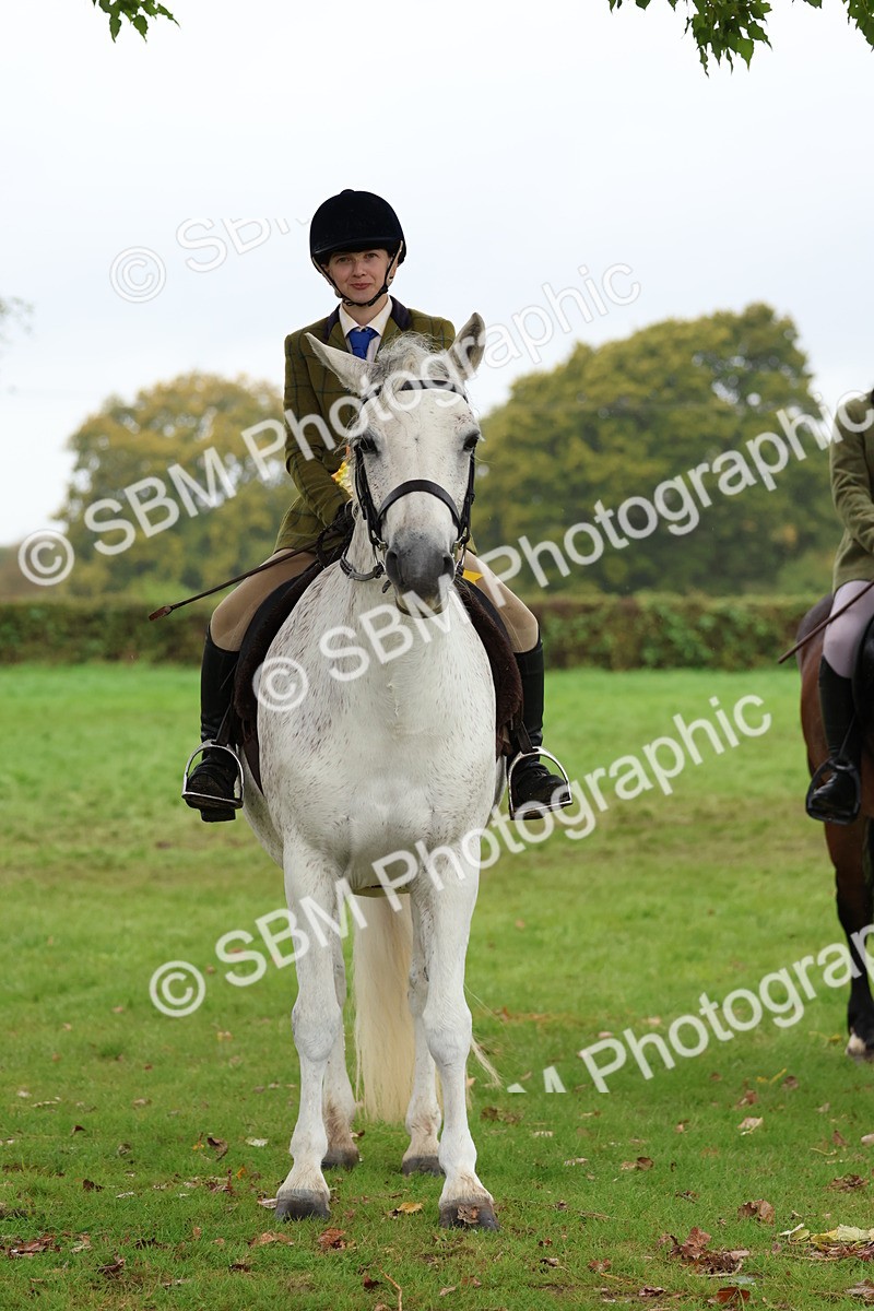 SBM_69763 - S62 - Mountain & Moorland Ridden Large Breeds