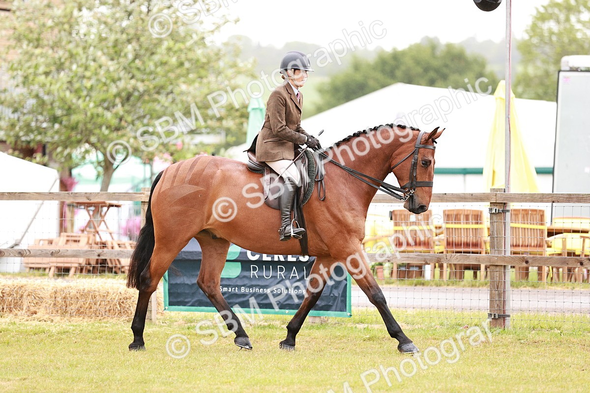 SBM_10749 - Class 81-84 - RIHS Ridden hunters Inc Ladies Hunter