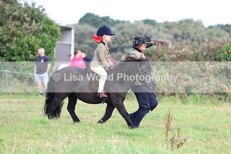 3E7A3523 - Class 2: Lead rein