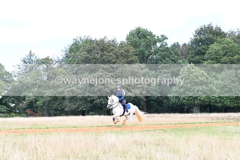 DSC_8737 - Time at Statue 14:33 to 15:10