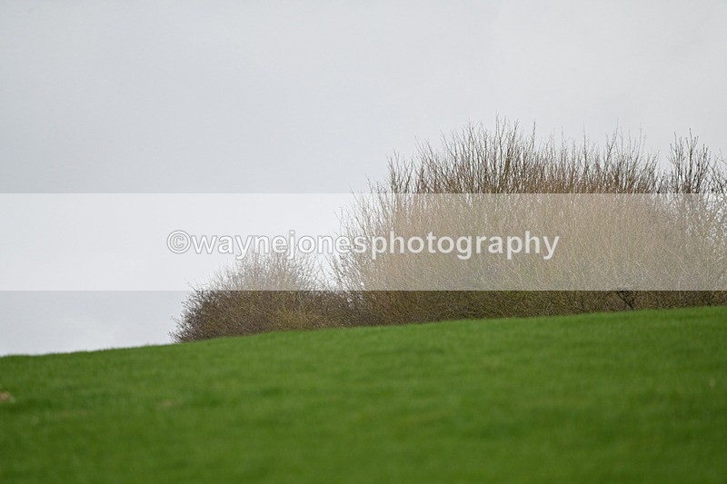 WJ6_9180 - Line Three