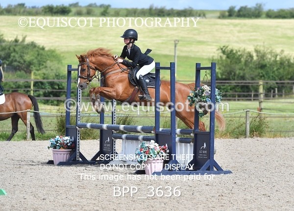 BPP_3636 - CLASS 4 SAT Pony British Novice / 0.80m Open