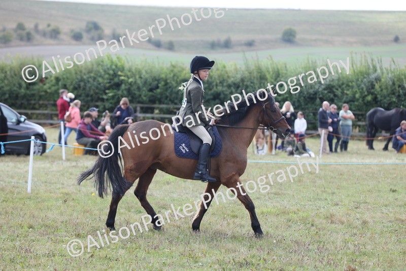 20250831-1137 - Class 15 - Ridden Veteran