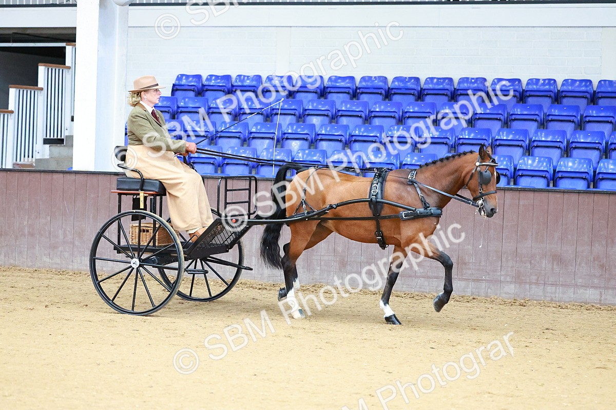 SBM_000088 - Class 3 - Alison Thomas Memorial Lady Whip