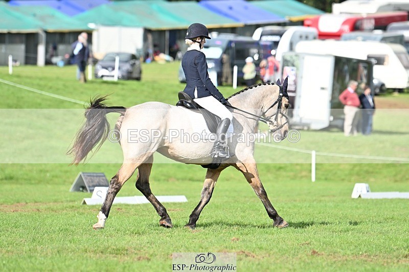 231020-141646-10867 - 664-TEMPLEMORE.WILD.ONE-Bella.Stevens-DR