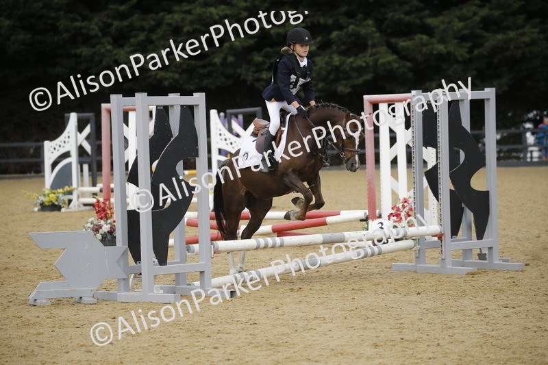 20250622-3702 - 50cm