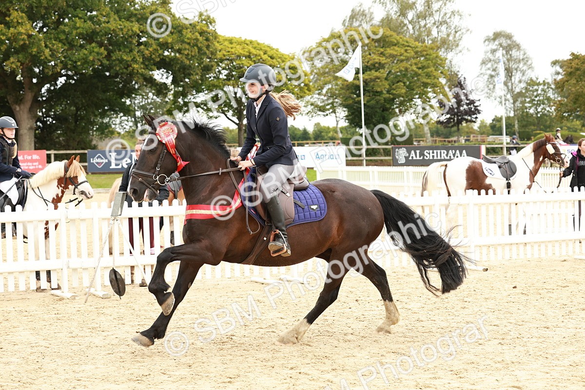 SBM_65342 - Supreme Championship 50cm & 55cm