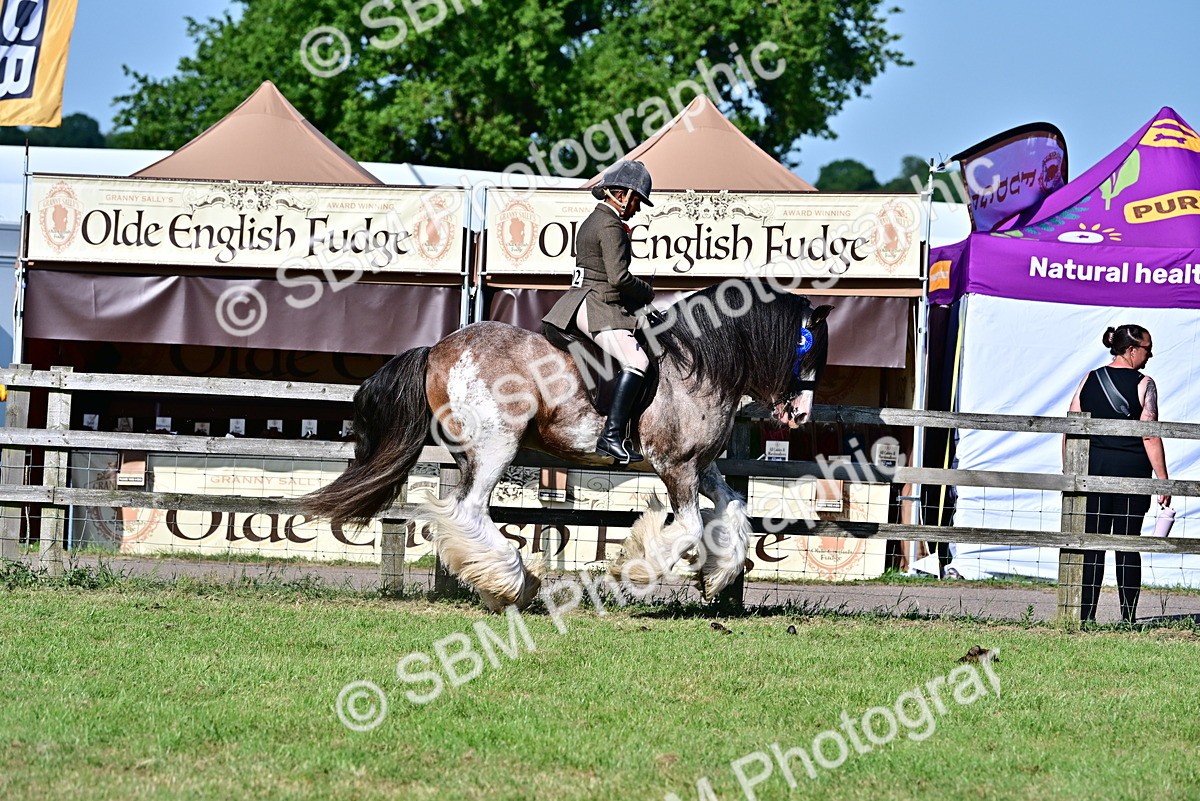 SBM_19565 - Class 101-102 - BSPS LIHS Performance Coloured Horse/Pony