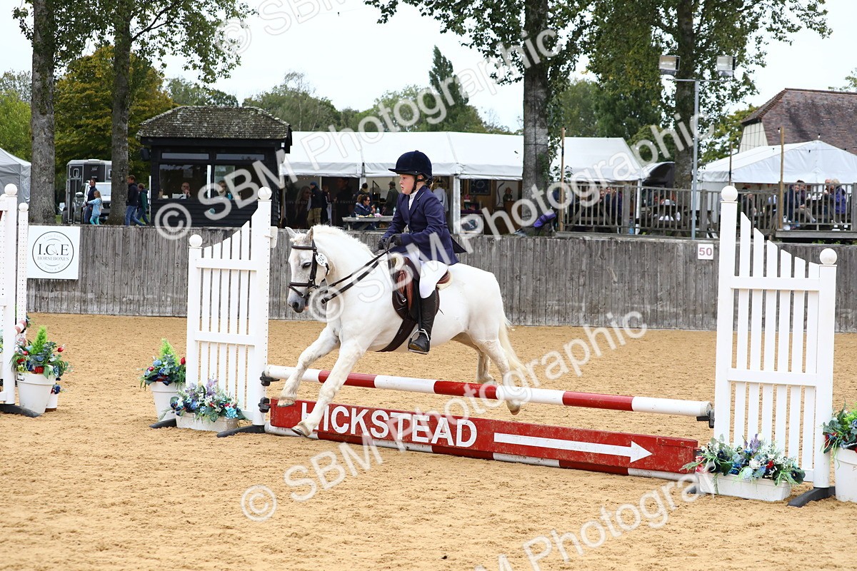 SBM_65078 - Supreme Championship 50cm 60cm 70cm