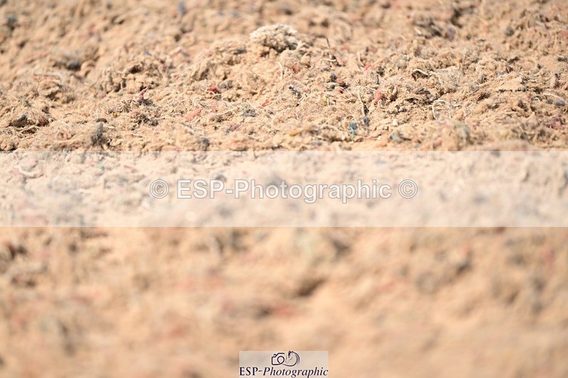 250620-153757-04387 - BD Cls 10 - Medium 5, 15.20 to End