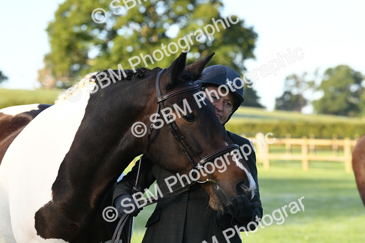 SBM_32649 - S15 - Condition & Turnout In Hand