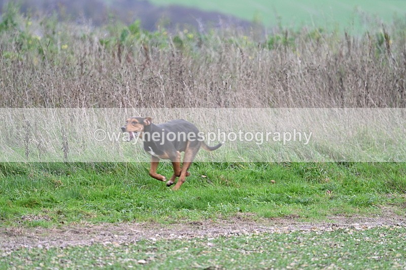 WJ7_2523 - Camera A