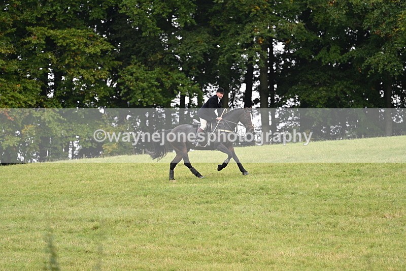 WJ7_4034 - Camera 1 Line 2