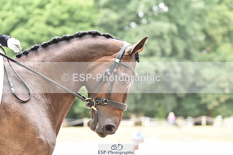 140110A-011452-10866 - 132-Jodie.Coombes-Tattygare.Last.Delight