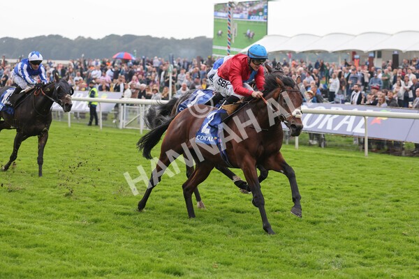 yr09102021r3-18 - Race 3 2.37pm Play Coral Racing-Super-Series For Free Handicap