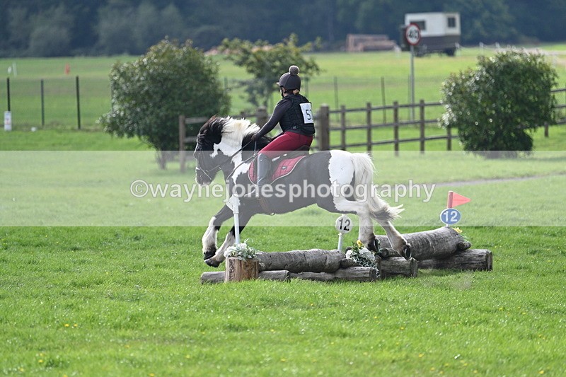 WJ7_3767 - 40cm Time 10:26 to 10:42