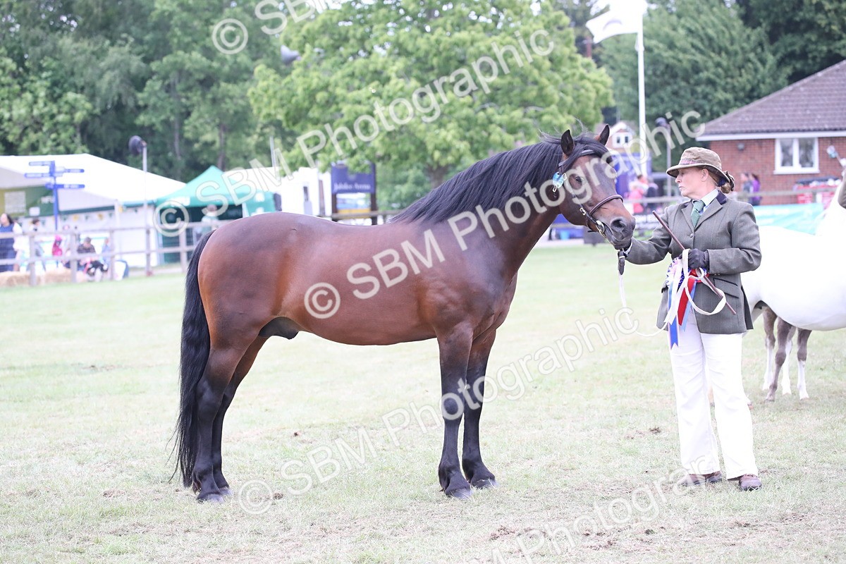 SBM_09812 - Ch 50 - Price Family Supreme In Hand