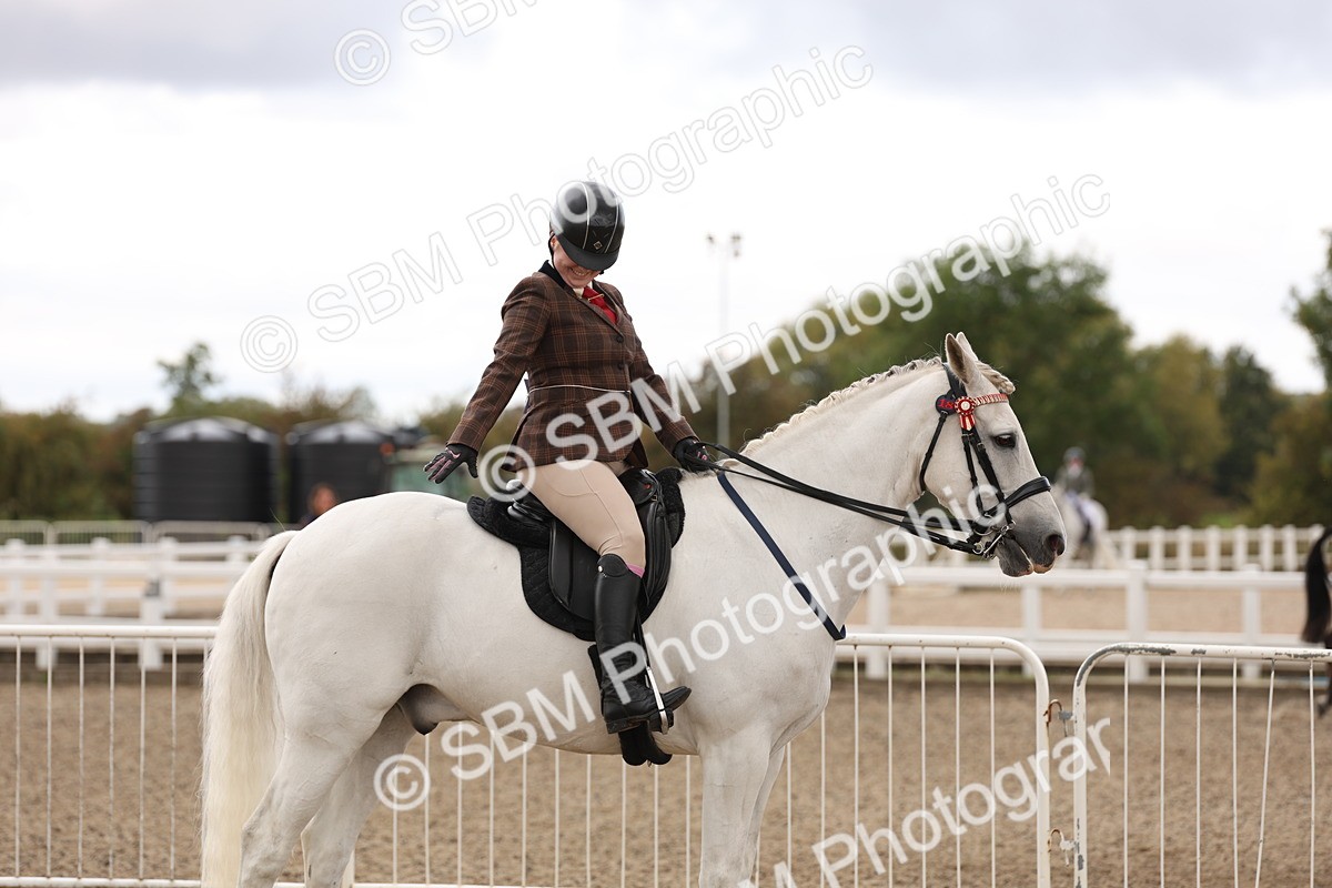 SBM_02931 - Class 53 - Ridden Competition Horse/Pony