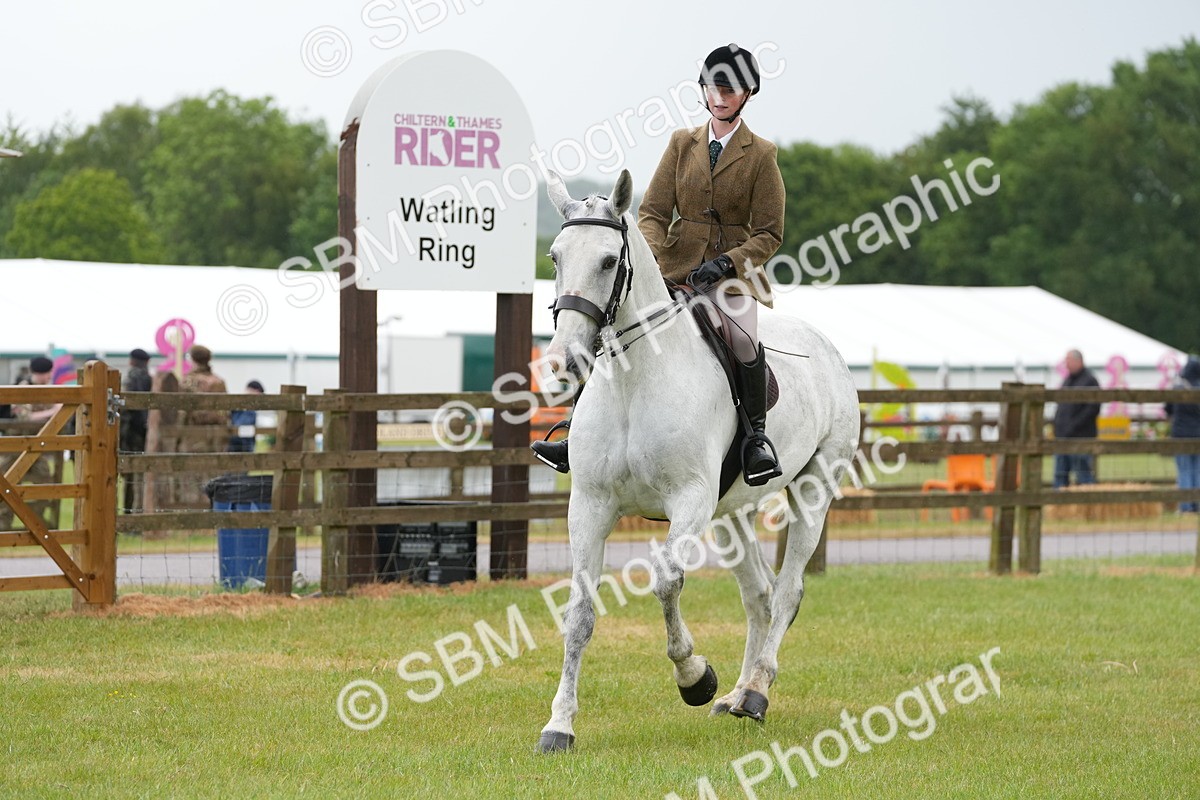 SBM_12687 - Class 97-98 - LIHS BSHA Rising Star Working Show Horse Hunter