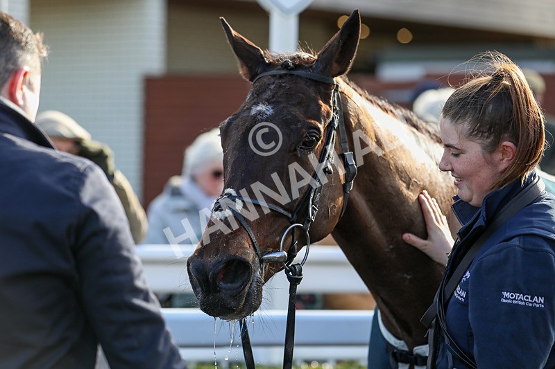 120224-Race 1-Pickanumber-7286 - Race 1