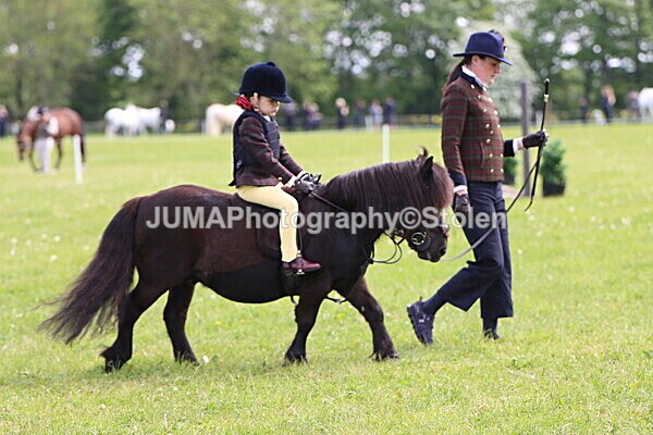 IMG_2332 - Working Hunter