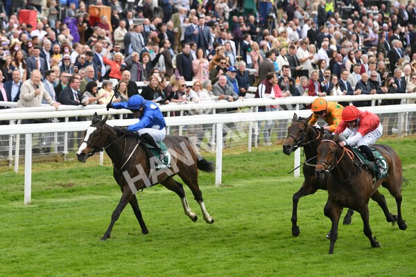 yr13052022r3-29 - Race 3 3.00pm Paddy Power 'I Love Steak' Stakes