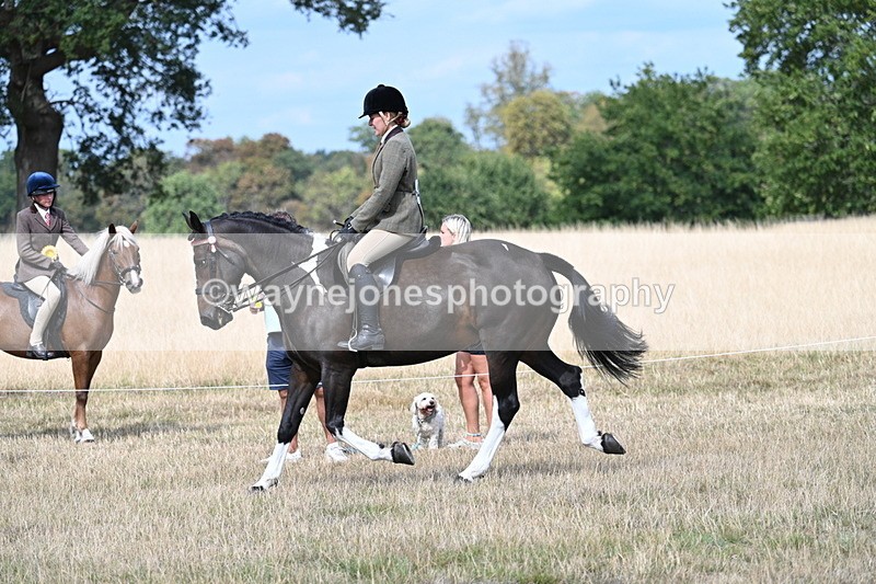 WJ7_5852 - Class 13 Ridden Veterans