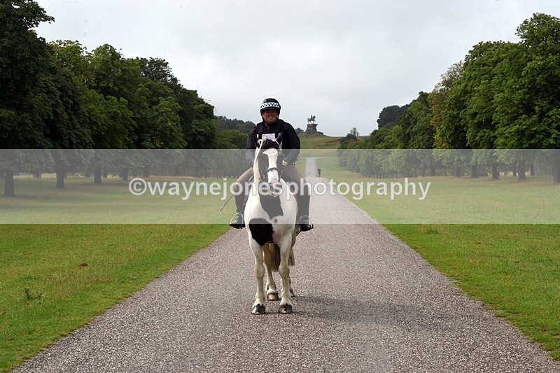 TT3_8265 - Time at Crossing 10:16 to 11:38