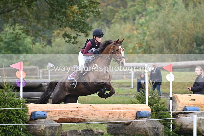 WJ6_2621 - 80cm Cam 1 Time 11:23 to 12:04