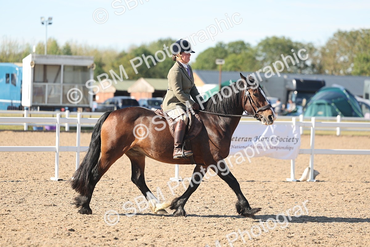SBM_12320 - Class 304 - Ridden part Bred Horse Pony