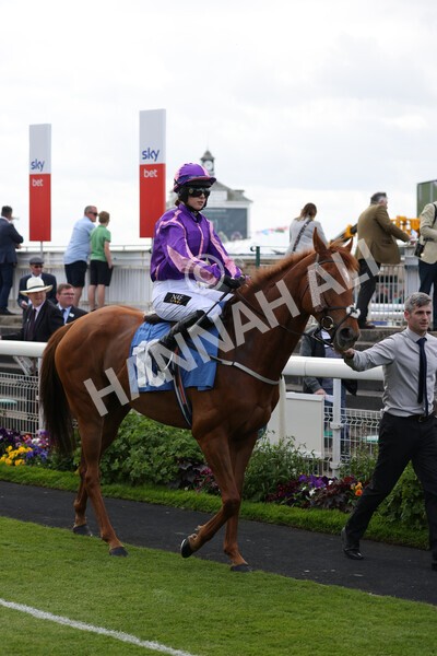 yr11062022r2-53 - Race 2 2.00pm Queen Mother's Cup