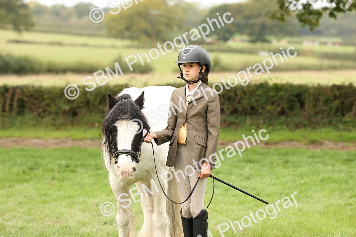 SBM_59347 - S57 - Traditional Cob In Hand