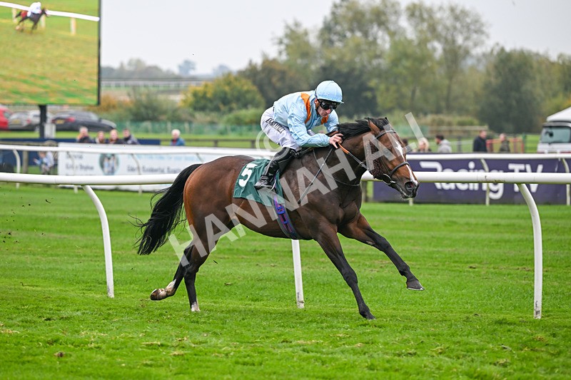 181025-Race 7-Lexington Blitz-1384 - Race 7