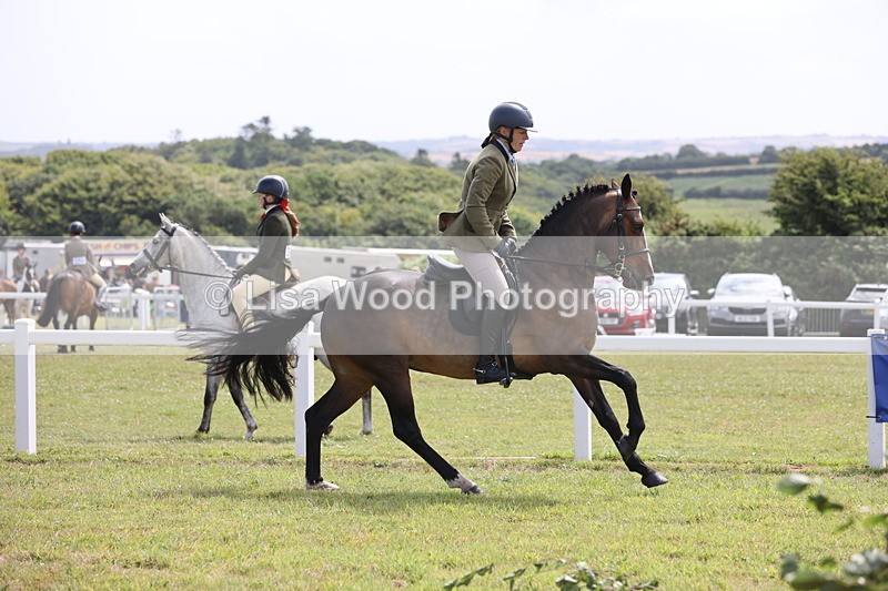 JPP_1520 - Class 17: Cornish Combination Open