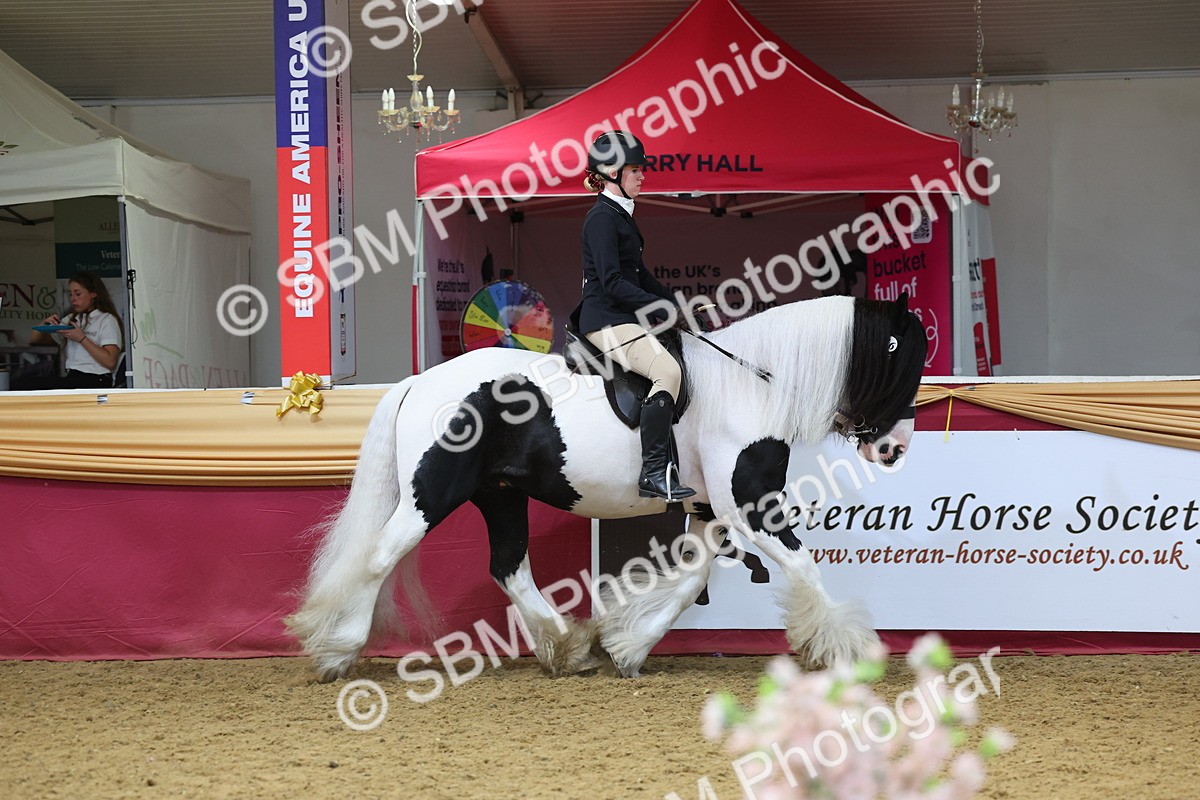 SBM_24334 - Class 906 - Supreme Final - Ridden Pre Vet