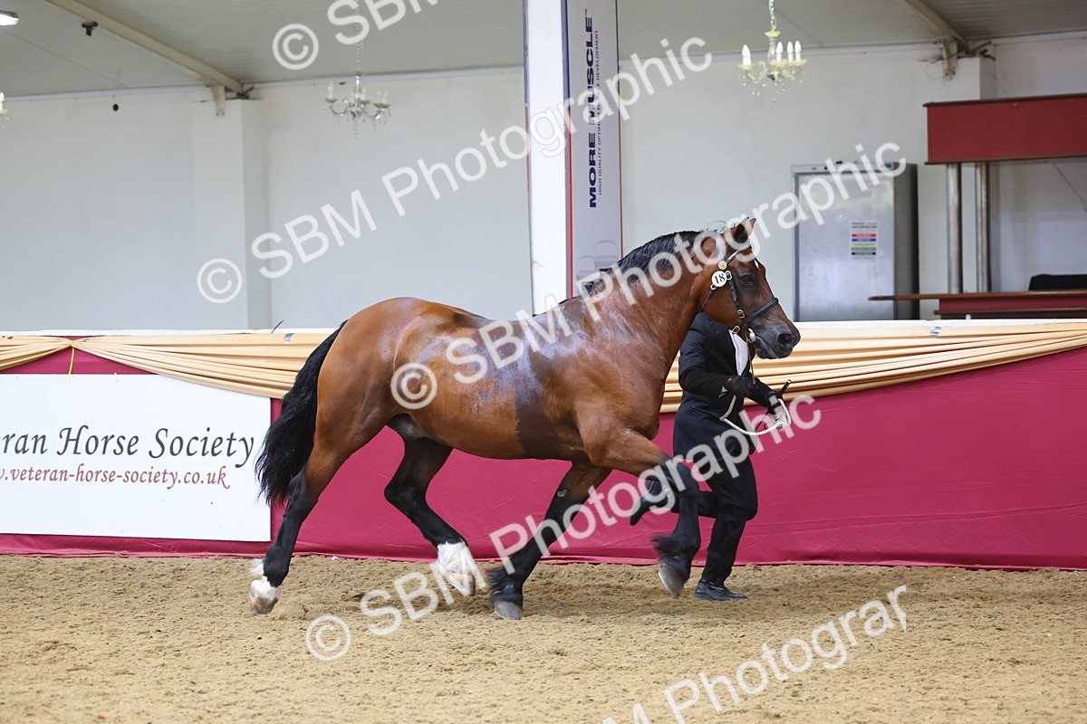 SBM_24978 - Grand Supreme Final Overall Champion